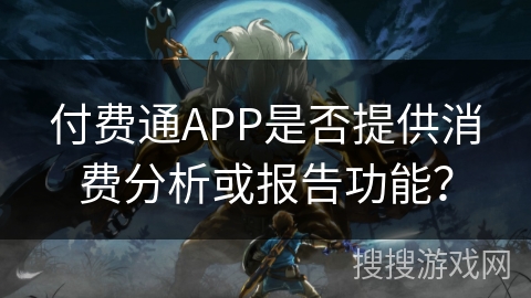 付费通APP是否提供消费分析或报告功能？