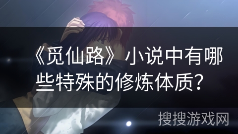 《觅仙路》小说中有哪些特殊的修炼体质？