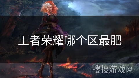 王者荣耀哪个区最肥