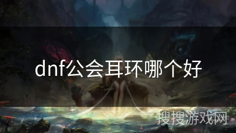 dnf公会耳环哪个好