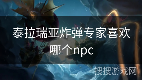 泰拉瑞亚炸弹专家喜欢哪个npc