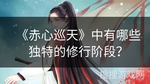 《赤心巡天》中有哪些独特的修行阶段？