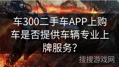 车300二手车APP上购车是否提供车辆专业上牌服务？