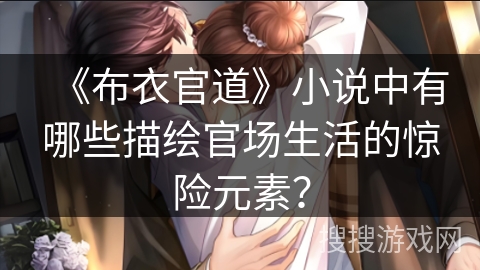 《布衣官道》小说中有哪些描绘官场生活的惊险元素？