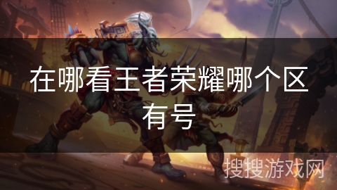 在哪看王者荣耀哪个区有号