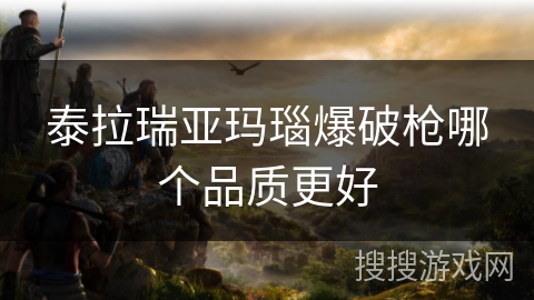 泰拉瑞亚玛瑙爆破枪哪个品质更好