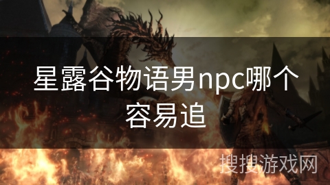 星露谷物语男npc哪个容易追