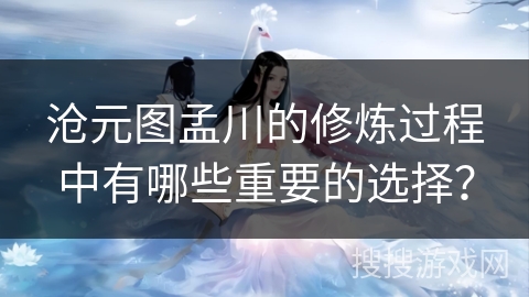 沧元图孟川的修炼过程中有哪些重要的选择？