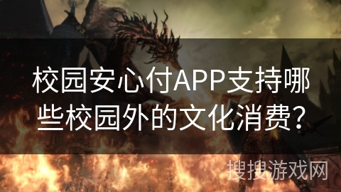 校园安心付APP支持哪些校园外的文化消费？