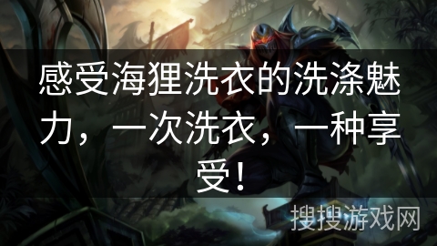 感受海狸洗衣的洗涤魅力，一次洗衣，一种享受！