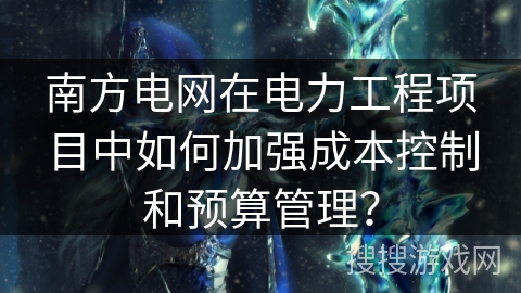 南方电网在电力工程项目中如何加强成本控制和预算管理？