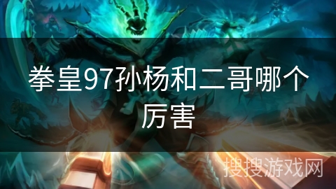 拳皇97孙杨和二哥哪个厉害