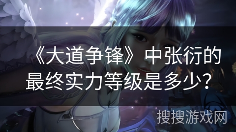 《大道争锋》中张衍的最终实力等级是多少？