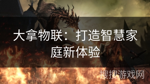 大拿物联：打造智慧家庭新体验