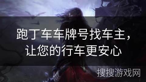跑丁车车牌号找车主，让您的行车更安心