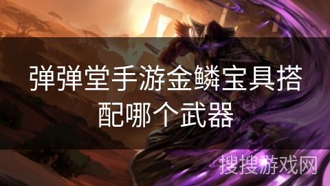 弹弹堂手游金鳞宝具搭配哪个武器