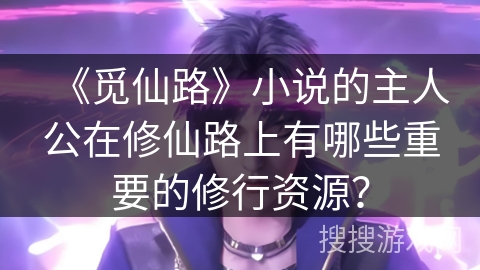 《觅仙路》小说的主人公在修仙路上有哪些重要的修行资源? 《觅仙路》小说的主人公在修仙路上有哪些重要的修行资源?