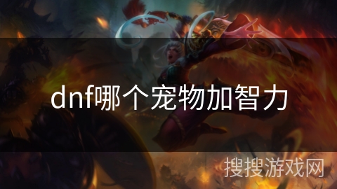 dnf哪个宠物加智力 dnf哪个宠物加智力