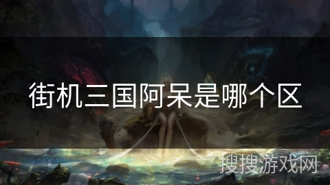 街机三国阿呆是哪个区