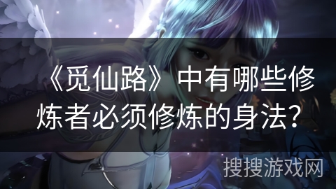 《觅仙路》中有哪些修炼者必须修炼的身法？