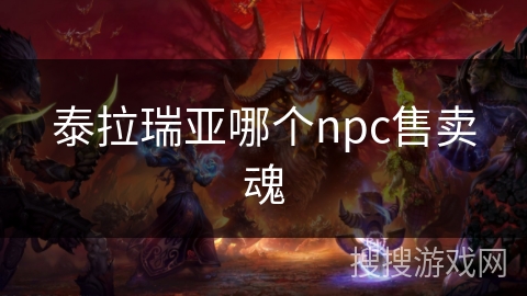 泰拉瑞亚哪个npc售卖魂