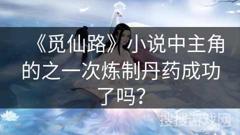 《觅仙路》小说中主角的之一次炼制丹药成功了吗？