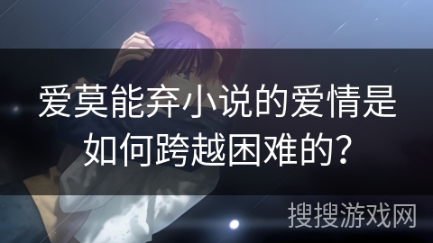爱莫能弃小说的爱情是如何跨越困难的？