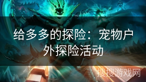 给多多的探险:宠物户外探险活动 给多多的探险:宠物户外探险活动