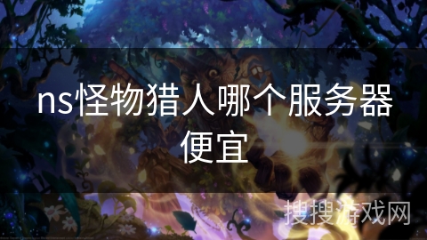 ns怪物猎人哪个服务器便宜