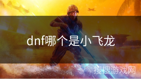 dnf哪个是小飞龙