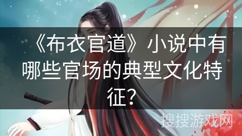 《布衣官道》小说中有哪些官场的典型文化特征？