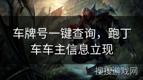 车牌号一键查询，跑丁车车主信息立现