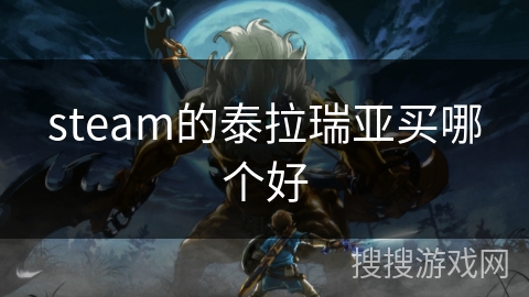 steam的泰拉瑞亚买哪个好