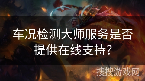 车况检测大师服务是否提供在线支持？