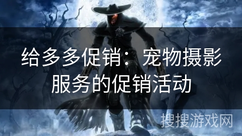 给多多促销：宠物摄影服务的促销活动