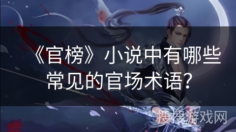 《官榜》小说中有哪些常见的官场术语？