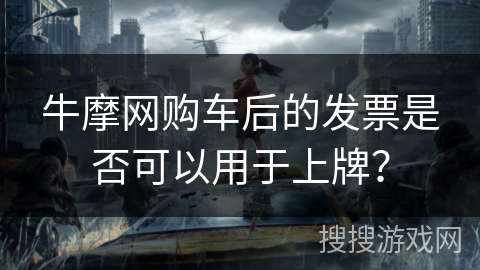 牛摩网购车后的发票是否可以用于上牌？