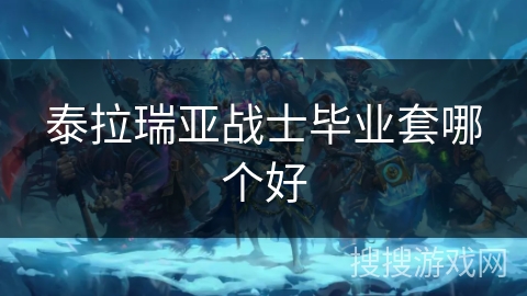 泰拉瑞亚战士毕业套哪个好