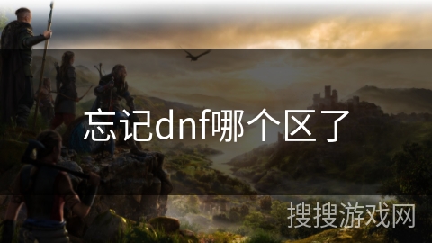 忘记dnf哪个区了