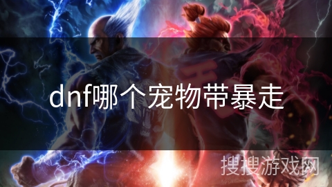 dnf哪个宠物带暴走