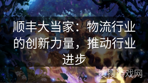 顺丰大当家：物流行业的创新力量，推动行业进步