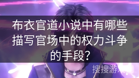 布衣官道小说中有哪些描写官场中的权力斗争的手段？