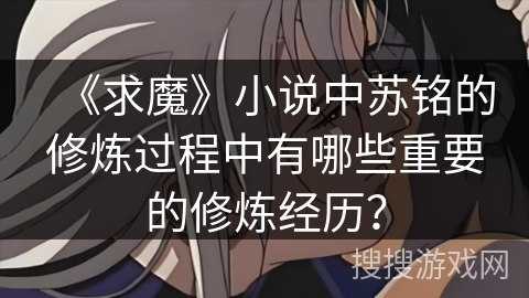 《求魔》小说中苏铭的修炼过程中有哪些重要的修炼经历? 《求魔》小说中苏铭的修炼过程中有哪些重要的修炼经历?