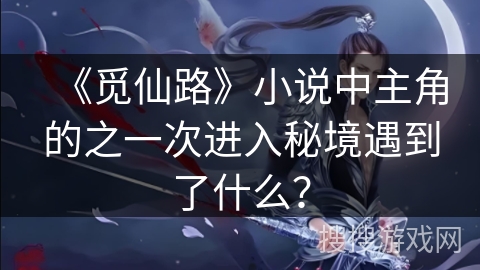 《觅仙路》小说中主角的之一次进入秘境遇到了什么？