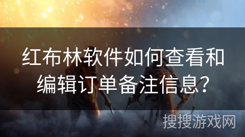红布林软件如何查看和编辑订单备注信息？