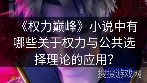 《权力巅峰》小说中有哪些关于权力与公共选择理论的应用？
