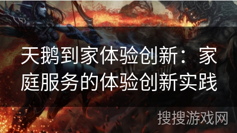 天鹅到家体验创新:家庭服务的体验创新实践 天鹅到家体验创新:家庭服务的体验创新实践