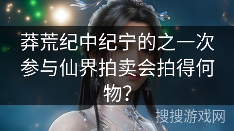 莽荒纪中纪宁的之一次参与仙界拍卖会拍得何物？