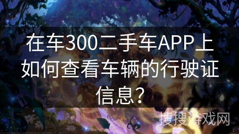 在车300二手车APP上如何查看车辆的行驶证信息？