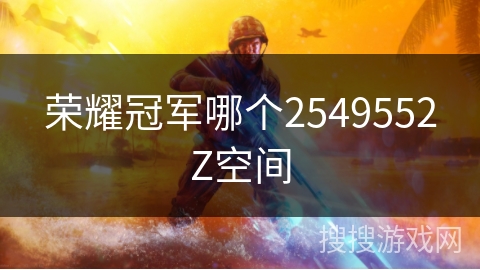 荣耀冠军哪个2549552Z空间